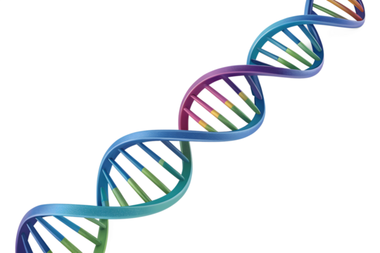 Vibrant 3D DNA model with colorful strands