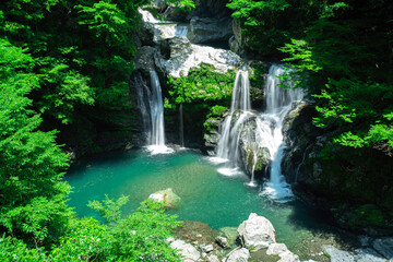 Naklejka premium 日本の徳島にある新緑の大轟の滝