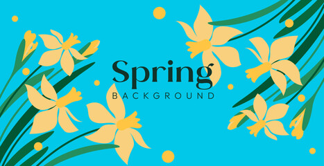 Spring background with blooming daffodils in vector, flat style.