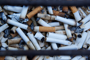 Many cigarette butts and garbage close up.