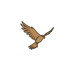 Obraz premium Line Art of a Soaring Hawk Brown Hawk in Flight