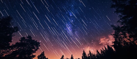 Majestic Night Sky with Star Trails Over Forest Landscape, Captivating Cosmic Display of Celestial Movement, Dreamy Astronomy Observer Experience