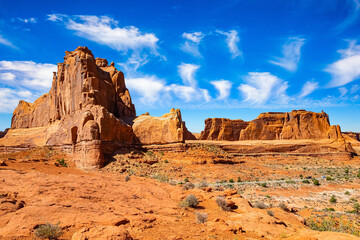 Fototapeta premium The interesting majestic compositions