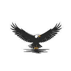 Fototapeta premium Eagle Gliding Over Water