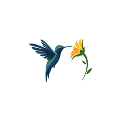 Obraz premium Hummingbird Nectar Gathering