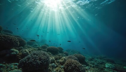 Naklejka premium Underwater sunbeams shine through ocean water onto coral reef with swimming fish. Marine wildlife in ocean floor environment with blue turquoise water creates peaceful scene.