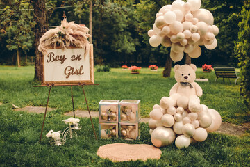 decor for the baby shower