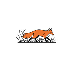 Obraz premium Fox Walking in Grass