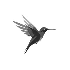 Fototapeta premium Monochrome Hummingbird in Flight