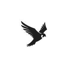 Obraz premium Parrot Flying Silhouette