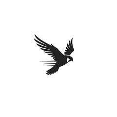 Obraz premium Flying Parrot Silhouette