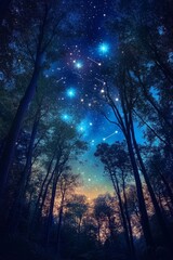 Fototapeta premium Mystical forest at night, glowing stars, silhouette trees, magical landscape