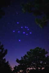 Night sky constellation projections over trees