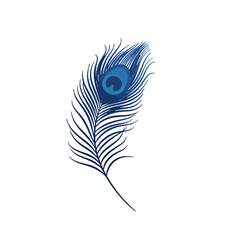 Obraz premium Blue Peacock Feather
