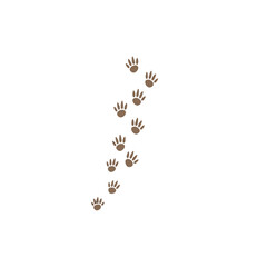 Animal Paw Prints Trail