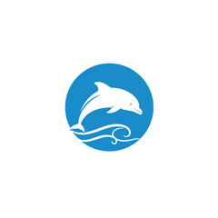 Fototapeta premium Dolphin in Ocean Circle