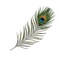Peacock Feather Minimal Logo Design