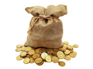 set of golden coins bag
