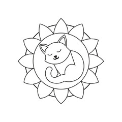 a sleepy cat curled up inside a manda.