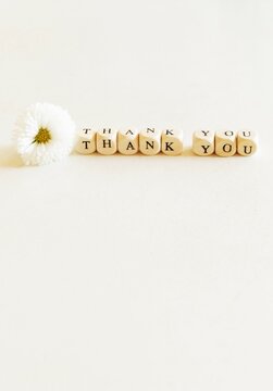 Thank you - cube letters on white background and little white daisy flower