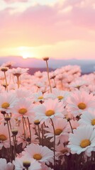 Pastel aesthetic wallpaper landscape outdoors daisy.
