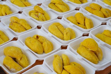 Fresh yllow durian fruit cut open in Singapore