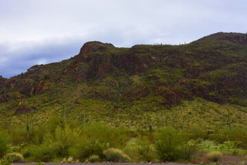Sonora Desert Arizona Picacho Peak State Park
