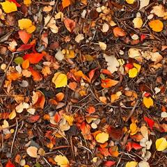 seamless autumn leaves on the ground