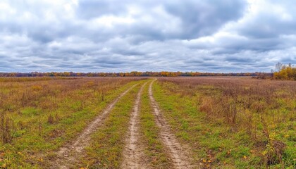 Fototapeta premium A wide dirt path leads through a scenic, open field under a cloudy sky.