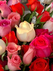 Bouquet of red, white roses. Clustered roses suggest a theme of love.