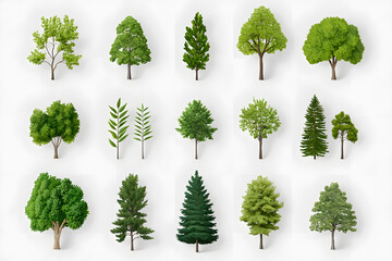 Fototapeta premium 3d realistic green trees collection isolated on white background 