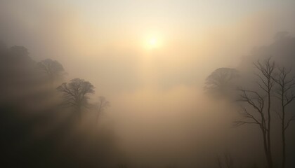 Obraz premium Mystical Sunrise Through the Foggy Forest Landscape