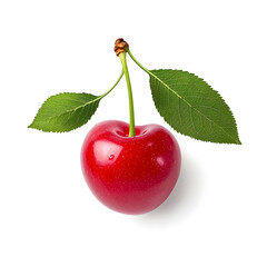 Delicious red cherry cut out isolated on white background