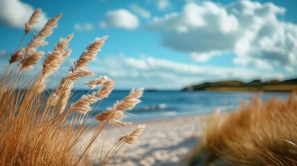 A mesmerizing close-up of a serene beach under a radiant azure sky, dotted with soft, wispy white clouds. The scene exudes tranquility and warmth, inviting the eye to wander across the gently blurring