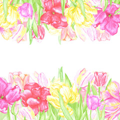Hand drawn watercolor colorful tulips with green leaves frame border. Illustration of flowers isolated on white background. Can be used for postcard, invitation, scrapbook and other printed products.