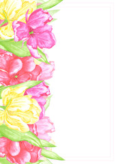 Hand drawn watercolor delicate tulips with green leaves postcard. Illustration of flowers isolated on white background. Can be used for postcard, invitation, cover and other printed products.