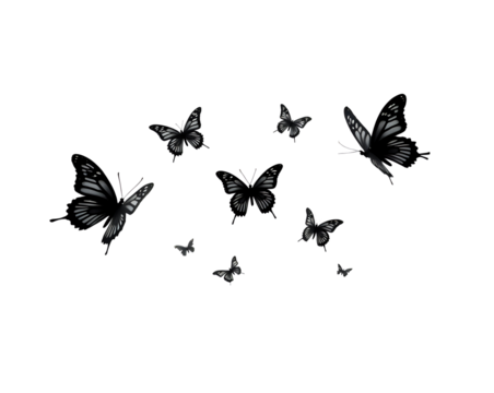 set of butterflies isolated on white or transparent png