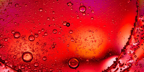 Blank Parchment with a Vintage Texture and Grunge Pattern