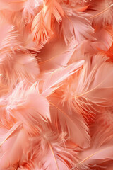 Peach-colored feathers create a soft and vibrant background.