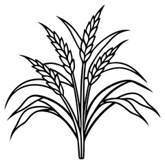 Fototapeta premium Black and white illustration of rice plants on a transparent background