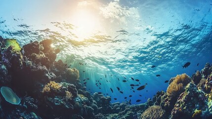Fototapeta premium Underwater Coral Reef Sunlight