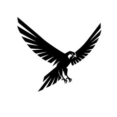 Fototapeta premium Majestic Hawk with Outstretched Wings