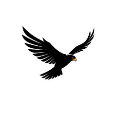 Flying Black Hawk Logo