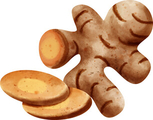 watercolor ginger