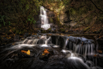 Fototapeta premium waterfall in the forest