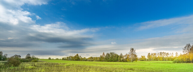 Large field with a blue sky and trees in the background