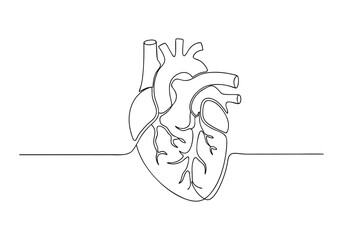 Continuous One Line Human Heart | Minimalist Anatomy Vector Illustration