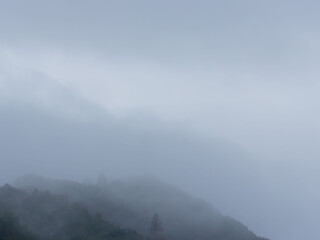 霧の掛かる山の樹々04