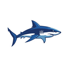 Fototapeta premium Shark Illustration