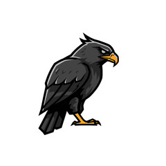 Obraz premium Black Hawk Logo